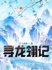 寻龙记是什么书