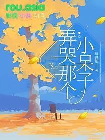 弄哭那个小呆子 未删减版