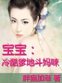 冷酷爹地娶一赠二阅读