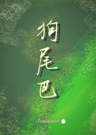 狗尾巴草可以代替提摩西草吗