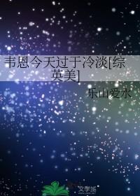 综英美韦恩少总