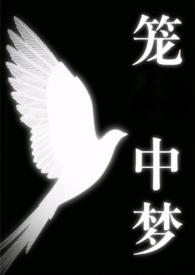 笼中梦